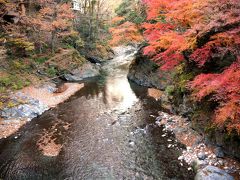 ちょっと時期外れ感もある紅葉を見に行ってみた