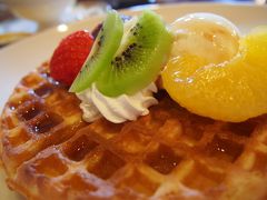 函館のクリスマスイルミネーション、やっとリベンジできました[二日目]