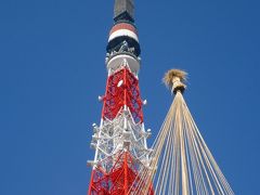 新春の神社巡りに仰ぎ見る東京タワー