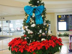 函館のクリスマスイルミネーション、やっとリベンジできました[最終日]