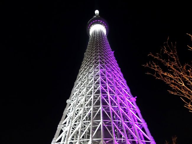 ここ数年、「夜景」を求めて各国(国内を含む)を訪問していますが、思い<br /><br />出が薄れてしまう前に(整理する目的で)数枚ずつアップすることにしまし<br /><br />た。今回は東京のスカイツリーを訪問した時に撮影したものです。<br /> <br /> 宜しければ、過去の「思い出の夜景シリーズ」も宜しければご覧ください。<br /><br />(Vol.1) http://4travel.jp/travelogue/10560764/ (ロサンゼルス)<br /><br />(Vol.2) http://4travel.jp/travelogue/10560800/ (シドニー)<br /><br />(Vol.3) http://4travel.jp/travelogue/10560956/ (上海)<br /><br />(Vol.4) http://4travel.jp/travelogue/10560962/ (ソウル)<br /><br />(Vol.5) http://4travel.jp/travelogue/10560968/ (ケアンズ)<br /><br />(Vol.6) http://4travel.jp/travelogue/10560973/ (ラスベガス) <br /><br />(Vol.7) http://4travel.jp/travelogue/10639207/ (シンガポール)<br /><br />(Vol.8) http://4travel.jp/travelogue/10754640/ (大阪)<br /><br />(Vol.9) http://4travel.jp/travelogue/10754656/ (長崎)