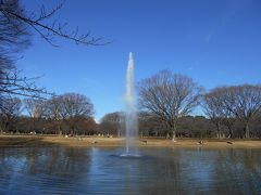 ２０１３年末の都内散歩♪代々木公園編！