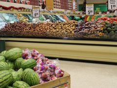 まふりらのＮＺ定番ツアー家族旅行１　北島　前編