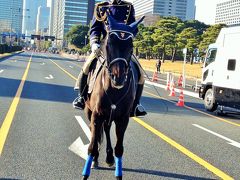 年始に駅伝見物と一般参賀