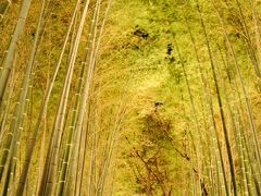 「そうだ京都、行こう」嵐山花灯路編