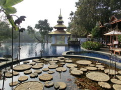 タイ航空ロイヤルシルクで行く2013年最後のチェンマイ旅行～ダラ・デヴィ編～