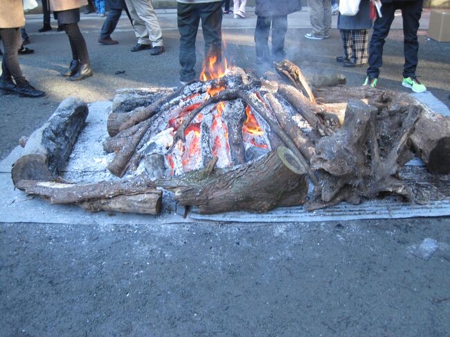 2014年のお正月は箱根で過ごしました②～箱根神社周辺～