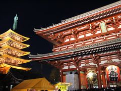 2014年初春　開運！いいご夫婦「今戸神社」＆浅草寺の初詣は夜もオススメ。