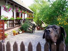 ハンガリー危険な銭湯
