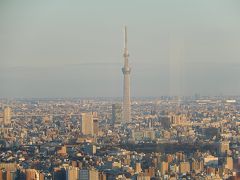 池袋サンシャイン６０展望台からの風景③東側よりの展望(東京スカイツリー等)