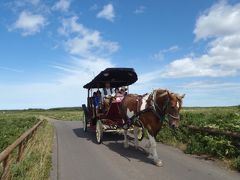 平成25年夏　北海道　道東満喫の旅 　5日目　　　ワッカ原生花園から藻琴山へ