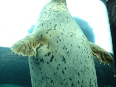 北海道旅行2011②★旭山動物園