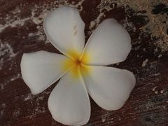 GUAM 旅行＊2日目＊