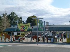 こども動物自然公園【カピバラ温泉、コアラ、フルボルトペンギンetc】