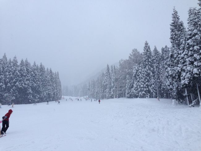 子供達、初めての雪国、初めてのスキー<br /><br />エンゼルグランディア越後中里<br />スキーやスノボをやらない子供達も遊べるゆきゆきランド<br /><br />お土産ショッピングが充実の、越後湯沢駅<br /><br />4家族でのお正月1泊2日スキー旅 (^。^)y-.。o○<br /><br />