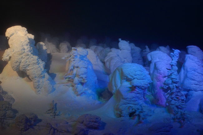 ９連休もある今年のお正月休み、こんなに長期なら海外に行きたかったのに予定がボツに。。。<br />なので2014年の初旅は、以前からずっと行きたかった銀山温泉の雪景色と、同じ山形県内の蔵王温泉に樹氷を見に行くことに決定〜！<br />東京では見られない白銀の世界にうっとり☆そして雪にはしゃぐ♪<br />素敵な２泊３日の冬旅になりました。<br /><br />=====================================================================<br /><br />銀山温泉の後は、蔵王温泉へ。<br />蔵王といえばスキーで有名ですが、スキーはできません（笑）<br />でも蔵王は、世界でも珍しい樹氷が見られる場所としても有名です！<br />なのでせっかく山形まで来たからには樹氷も見て帰りたい〜！！と欲張って蔵王温泉にもやって来ました♪<br /><br />午後に蔵王温泉に着き、初日はライトアップされた樹氷を見に行くことに。<br />まだ樹氷シーズンの初め頃で時期がちょっと早い気もしますが、はてさて樹氷は見れるのでしょうか…？？？<br />そして氷点下１５℃にもなるという未体験の気温に耐えられるのか…？？？<br />その結果は。。。<br /><br />☆蔵王樹氷ライトアップ↓<br />http://www.zao-spa.or.jp/jyuhyo/lightup<br />http://www.zaoropeway.co.jp/w_season02.html<br /><br />=====================================================================<br /><br />【旅行日程】<br />１日目　　東京-大石田-銀山温泉（銀山温泉泊）<br />２日目　　銀山温泉-大石田-山形-蔵王樹氷ライトアップ（蔵王温泉泊）★<br />３日目　　蔵王デイライト樹氷-山形-東京