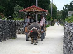 201001-02　冬の沖縄旅行（石垣島＆竹富島）Ishigakijima and Taketomijima island / Okinawa