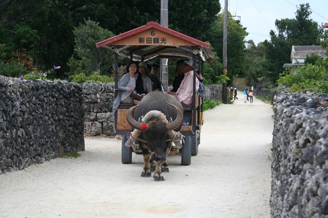 201001-02　冬の沖縄旅行（石垣島＆竹富島）Ishigakijima and Taketomijima island / Okinawa