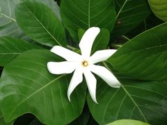 GUAM旅行＊5日目＊