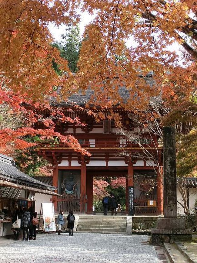 以前から行ってみたかったのですが、なかなか行けなかった女人高野・室生寺とそのまた奥にある室生龍穴神社へ紅葉を見に行ってきました。<br />気ままな一人歩きです。
