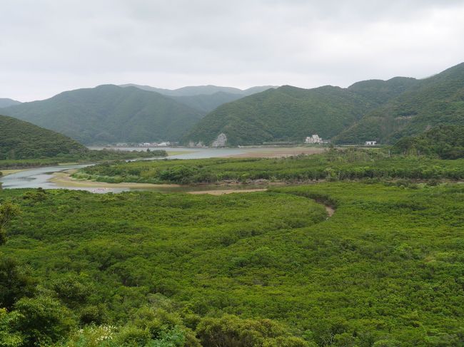 沖縄三世代旅行の後半は、那覇発のぱしふぃっくびいなすクルーズ。<br />すず母が前から行ってみたかった屋久島と、日本の離島で２番目に大きい奄美大島に寄港しました。<br />新婚旅行や、２年前の東北夏祭りクルーズで、クルーズファンとなったすず父母。<br />すず祖父母たちにもクルーズを勧めていましたが、クルーズは未知の世界のためか、なかなか腰が重い。<br />今回、沖縄旅行と結びつけて一緒に体験して頂きました。<br />本旅行記は、クルーズ前半と最初の寄港地奄美大島です。