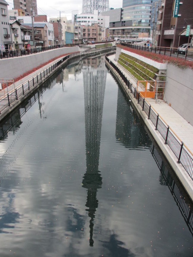 お正月、毎年ヒマなので、母と1泊旅行を計画しました。<br />といっても東京・・浅草に泊まってスカイツリーに登ってみるだけですが。<br /><br />浅草ビューホテルの「スカイツリー日付指定券付きプラン」<br />今回は、金欠の娘を気遣ってくれた母のおごりです(笑）<br />