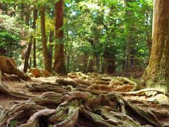 京都-2　鞍馬寺　九十九折坂/木の根道　☆義経堂・大杉権現・奥の院も