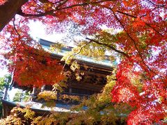2013.12.3 紅葉の鎌倉、ふらり散歩