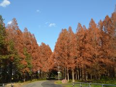 水元公園の紅葉、しばられ地蔵尊