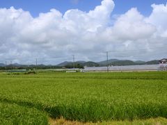 豪快！浜焼き食べ放題と新名所三井アウトレットパーク木更津でお買い物