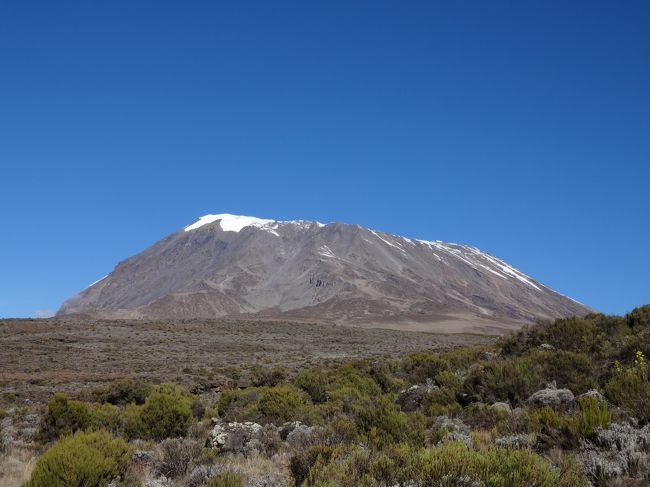 キリマンジャロ登山の構想を練り始めたのが３年前。<br />キリマンジャロ登山の実行を決意したのが１年前。<br />練習期間が８か月。<br /><br />ついにきました。このときが・・・。<br /><br /><br />というわけで、キリマンジャロ登山へ行って参りました。<br /><br /><br /><br />まずは・・<br /><br />反省<br />登れるか登れないかの勝負の分かれ目は、旅立つ前から決まっていたのだと反省しきりです。<br />そういう自覚がまったくなかったのです。<br />現地に行ってからが勝負だと思っていたのです。<br />結果的には、アフリカ最高点のウフルピーク（５８９５ｍ）に立つことができましたが、準備不足を痛感しました。<br />もちろん、まともに登山を始めたのが８カ月前の僕にとって、てっぺんに立てただけでも幸運なことですが・・。<br />登頂確率を上げるためにもっとやれることがあったんだと今になって痛感しています。<br />「勝ちに不思議の勝ちあり。負けに不思議の負けなし。」<br /><br /><br />感想<br />この旅は、たった１０日間の旅じゃなかった。<br />構想２年、計画４カ月、練習期間８カ月。<br />練習期間中に登山した回数　合計１３回。<br />（内、２回は海外の４０００ｍ級の山）<br />とんでもないエネルギーを使ったものだ。<br />そして、いい旅をするために準備をするっていうことが、どれほど重要か分かった。<br />いろいろな旅をしてきましたが、自分でユニークな旅作りができたときにすごく満足をしています。<br />旅をする前までは、キリマンジャロに登って、サファリツアーに行くというステレオタイプな旅だと思っていました。<br />（キリマンジャロ登山自体ステレオタイプではなく、かなり特殊ですが、僕が言いたいのは、日本の旅行会社が企画するキリマンジャロ登山ツアーと僕が個人手配した旅行の中身は大して変わらないということです。そうい意味でステレオタイプ。）<br />考えてみれば、キリマンジャロ登山をする前に大抵の人は数多くの準備をするものです。<br />いろいろな山に行って足腰を鍛えたり、高山病に対策に低酸素室を利用したり、寒さ対策に新しいシュラフを買ったりと。<br />そういう準備の仕方は、みんな違うのです。<br />勝手に差が出てきてしまいます。<br />しかも、ものすごい大差です。<br />だから、キリマンジャロ登山はステレオタイプになりようがない。<br />最初は、ツアー企画と同じでユニークさが足りないと少し不満でしたが、実は唯一無二のすばらしい旅だったんだと思っています。<br /><br /><br />旅行日程<br />１２月２７日：成田発　（カタール経由）<br />１２月２８日：キリマンジャロ空港着　アルーシャ泊<br />１２月２９日：＜登山初日＞　マラングゲート→マンダラハット泊<br />１２月３０日：＜登山２日目＞　マンダラハット→ホロンボハット泊<br />１２月３１日：＜登山３日目＞　ホロンボハット→キボハット泊<br />１月１日：＜登山４日目＞　キボハット→登頂（ウフルピーク）→キボハット→ホロンボハット泊<br />１月２日：＜登山５日目＞　ホロンボハット→マラングゲート　アルーシャ泊<br />１月３日：＜サファリツアー＞　アルーシャ→ンゴロンゴロ　<br />１月４日：＜サファリツアー＞　ンゴロンゴロ→マニャラ→キリマンジャロ空港発<br />１月５日：成田着　（カタール経由）<br />