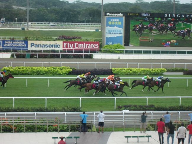 シンガポールのクランジ競馬場。<br />毎年５月に開催される国際Ｇ１レースには日本馬も参戦することでも知られる競馬場。<br /><br />開催日は、日曜（昼）と金曜（夜）が基本ですが、元日もレース開催日。<br />場所はマレーシア国境近くのＭＲＴクランジ駅。市内から４０分程度要しますが、初めての海外競馬場体験をしてきました〜。<br />ちなみにに券は購入せず、競馬場内をぶらぶら見学のみの訪問です。<br />
