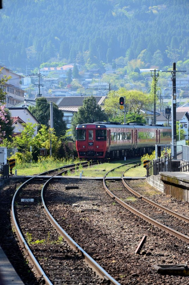 福岡散歩を終えて、旅程2日目は由布院へ。<br /><br />九州の鉄道が面白い!!、と前々から聞いており、中でも<br />観光列車の草分け的存在、「ゆふいんの森」号に乗って、<br />列車の旅を楽しんできました。