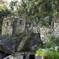 個人旅行で行く南米年越し弾丸ツアー　　4日目　ﾜｲﾅﾋﾟﾁｭ編