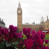 冬のロンドン　ヴァージンアトランティック航空で初めての英国へ