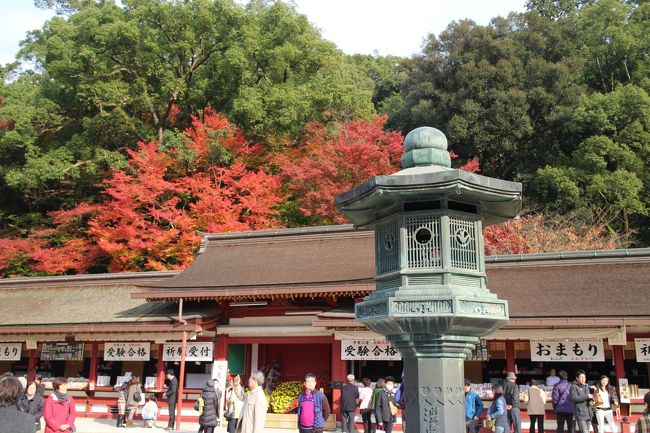 紅葉シーズンに1泊2日で福岡の神社を巡ってきました。