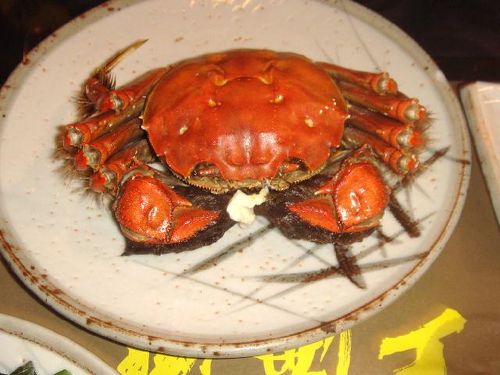 上海蟹って美味しいの マカオ マカオ の旅行記 ブログ By Masamimさん フォートラベル