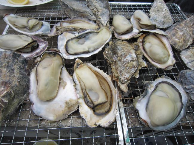 昨年より年1回の恒例行事に決定した日生での牡蠣バーベキュー。<br /><br />お腹いっぱい牡蠣を食べることができて大満足♪<br />来年も多分行きます(笑)