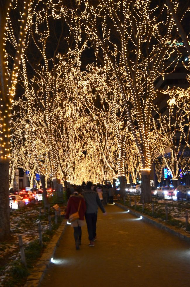 年の瀬に　ぷらっと雪のみちのく　ひとり旅　　SENDAI光のページェント編