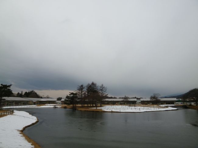 2014年1月8日〜12日の4泊5日、恒例の冬の軽井沢へ行きました♪<br />愛犬と一緒にドッグコテージで優雅に過ごし、<br />スキーやグルメやショッピングを楽しめました♪<br /><br />☆Ｖｏｌ１：第１日目（１月８日）軽井沢♪<br />家族と愛犬は東京からマイカーで、<br />自分は仕事場から新幹線で軽井沢へ。<br />上野駅で買ったベリーたっぷりのデザートを食べながら風景を眺めて。<br />天気が悪く、午後は雨か雪の予報。<br />昼に軽井沢駅に到着。<br />そのまま、すでに家族がチェックインしているドッグコテージへ。<br />家族が横川SAで買った横川釜飯を頂く。<br />これを食べると軽井沢に来たと実感させてくれる。<br />しばらくして軽井沢ショッピングモールへ。<br />平日のため、人はいなく、ガラガラ。<br />ゆったりとショッピングを楽しむ。<br />雨が降り出し、冬の軽井沢には珍しい雨の風景に。<br />気温は8度にまで達したため、暖かい雨に。<br />ショッピングを終えてドッグコテージへ。<br />夜はメインダイニングの洋食弁当。<br />スモークサーモンマリネ、魚介ブイヤベース、ステーキ、、サラダ、デザートなどいろいろ。<br />ワインとともにゆったりと頂く。<br />とても美味しく、満足。<br />愛犬用にステーキも。<br />愛犬も満足♪<br />窓を見ると雨が雪に変わっている。<br />すでに、積もっている。<br />明日は美しい雪景色に期待♪