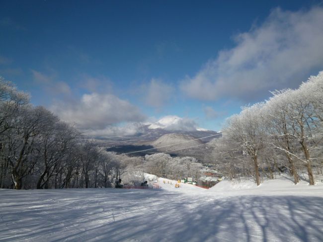 2014年1月8日〜12日の4泊5日、恒例の冬の軽井沢へ行きました♪<br />愛犬と一緒にドッグコテージで優雅に過ごし、<br />スキーやグルメやショッピングを楽しめました♪<br /><br />☆Ｖｏｌ３：第３日目（１月１０日）軽井沢♪<br />今日もスキーをたっぷりと。<br />ゆったりと朝食を頂いたら、スキー場へ。<br />平日のため、人はいなくガラガラ〜♪<br />木々は美しい樹氷に。<br />素晴らしい風景の中を気持ちよく滑る。<br />たっぷりとスキーを楽しんだら、<br />愛犬と一緒にショッピングモールへ。<br />ランチは屋台のラーメンを。<br />昼間でもマイナス4度！<br />激寒の中でラーメンはほかほかと体を温めてくれる。<br />その後、ゆったりとショッピングを楽しむ。<br />夕方、オーダーしているレストランへ。<br />マイカーで中軽井沢に近いレストラン「ルボンヴィヴォン」。<br />もとは北軽井沢にあった人気レストランで、中軽井沢へ移転。<br />出来立てのディナーコースを持って帰る。<br />愛犬の待つドッグコテージへ。<br />ドッグコテージで愛犬と一緒にルボンヴィヴォン美味しい料理を頂く。<br />ワインはサンマリノのシャンパンや白ワインとともに。<br /><br />ルボンヴィヴォンのシェフお任せコースは<br />＠前菜１：京人参の冷製ムース　ズワイガニとコンソメジュレ<br />＠前菜２：新潟の寒鰤のカルパッチョ　自家製ピクルスとサラダ仕立て　柑橘のヴィネグレット<br />＠前菜３：フォアグラとフレッシュトリュフのタルティーヌ<br />＠魚介のフリッと<br />＠メイン１：オマールエビのロースト　エピス風味　冬の野菜　アメリケソース<br />＠メイン２：カモのコンフィ<br />＠メイン３：サルティンボッカ<br />＠メイン４：牛カルビ肉のボルドーワイン煮込み<br />＠〆のご飯：明太子のケンタッキーオムレツ＆ライス<br />＠デザート１：紅玉リンゴのパートフィロ包み（クルスティアン）<br />＠デザート２：栗とエスプレッソのババロア仕立て　ラム酒風味のモンブランソース<br />＠デザート３：タルトタタン<br />＠デザート４：イチゴのポ・オ・クレーム<br /><br />久しぶりのルボンヴィヴォンは美味しい♪<br />シェフの味の再会に感激♪