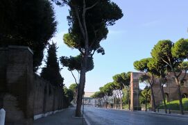 2013秋、イタリア旅行記2(20/53)：9月28日(1)：ローマ(1)：ローマの松、コンスタンティヌスの凱旋門