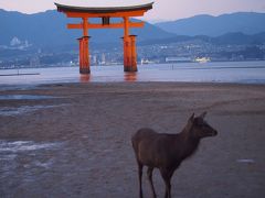 中四国の旅　２日目&#10025;