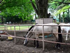 千葉県　清水公園