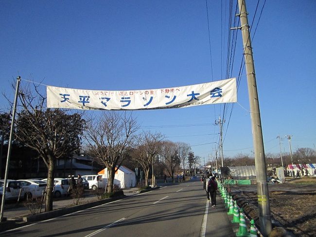 今年初めてのマラソン大会として、三年連続で「下野天平マラソン」に参加。本来ならば1月2日に実家近くで行われるハーフマラソンに参加する予定だったのだが、年末にこじらせた風邪の影響で練習すらままらず当日を迎えることに。今回も回避、っていう選択肢もあったんだが、去年の大会で感じた不満点を大会側運営に指摘したら(公共交通機関を利用した参加者のためのシャトルバス運行)、みごとに改善されてた手前、参加しないと義理が立たないっていうことになってしまったのでした。<br /><br />05:31 藤沢―新橋 722M<br />今回は妻は家でお留守番。一人でお出かけ。目的地の最寄り駅が栃木県の小金井駅なので、「休日お出かけパス」を利用。いつもは通勤に使っている列車でお出かけする。<br /><br />06:18 新橋―上野 612G<br />新橋で乗り換え。新橋で乗り換えをスムーズにすれば走らなくても山手線には余裕を持って乗り継げます。<br /><br />06:49 上野―小金井 3521M(快速ラビット)<br />上野駅8番線に入線した列車が折り返して快速列車になるのでホームでしばらく寒い思いをして待機。グリーン車の平屋席に乗り込み朝ご飯を食べながら移動。大宮から先はガンガン駅を通過していくので身体も楽。<br /><br />定刻通りに小金井駅に到着。駅北口のロータリーで待っていたシャトルバスに乗り込む。観光バスタイプのバスなので40人くらいで定員になってしまった(後続のバスが来ていたので乗り遅れた人も大丈夫だと思いますが)。わりと遠回りしている感じはしたものの、10分足らずで会場に到着。楽だわー テントのところでゼッケンを受け取り、国分寺聖武館という名前が付けられた体育館に荷物を置いて待機。<br /><br />スタートまでには1時間半ほど時間があるので、少し周りを観光して回る。去年、一昨年とほとんど大会に関係ない所には足を運んでなかったので、聖武館のすぐ近くに「しもつけ風土記の丘資料館」とか大きな駐車場があったこととか全くしらんかった。わりとたくさん車を止めるスペースはあるみたいです。<br /><br />小走りで数分、下野国分寺跡に到着。南門、南大門、金堂、七重の塔などの伽藍配置が再現されていた。弓削道鏡とかもここにいたんだなぁとしみじみ。<br /><br />ひとしきり観光(?)を済ませて走る格好に着替え、またしばらく待機。今年は足下の防寒対策もしてきたので、体育館の床に座っていても寒くない。9時30分くらいに外に出る。去年は氷雨の中を走ったので、多少風が強いくらいはなんてことなく感じる。10時にスタート。<br /><br />コースは一周約10kmの周回コースを二周してくるというもの。基本的に平坦だけど市街地に向かう3kmあたりから緩やかに上り、6kmくらいから下るといったかんじ。今年は天気は良かった代わりに北風が強くて苦しめられた。正面から風を受けているときは苦しくて息ができないくらい(というか、鼻の奥が凍って塊が気道に詰まる感じ)。<br /><br />最初の10kmはそれでもなんとか40分弱でまわってきたものの、二周目が10kmコースのスタートと重なってしまったせいでペースが乱れがちになる、あと、年末年始にかけての練習不足がたたり、17km過ぎからは完全にペースが落ちる。結局1時間29分でゴール。今年からハーフマラソンの参加種目が39歳までの部と40歳以上の部に分かれたみたいだけど、去年より順位が下がっていたので(去年は全体で20番台)、成績自体はあんまり良くなかったというべきなんだろうな。<br /><br />まあ、病み上がりのわりには良くやったということで自己満足しとこう。<br /><br />着替えをすませて帰る準備してから、会場で振る舞われていた、かんぴょう汁の行列にいったん並ぶものの、いつになったら食べられるかわからないくらい行列がスローだったので、あきらめてバスの発着所に向かう。12時45分からしかバスの設定がないんだけど、見物に来ただけの人とか早めにゴールした人(5kmの部の人は相当前にゴールしてるはず)にとっては利用しづらい時間設定かもしれない。<br /><br />バスが定員になったので7分ほど早めに出発。途中で下野市が運営している温泉施設「ゆうゆう館」に立ち寄る。マラソンの参加者には施設使用料が100円引きで200円になるのが嬉しい。まだランナーの数もそんなに多くなく、湯船も比較的広く利用できた。寒風に吹かれてきたので、首まで浸かってもなかなか暖まらなかったけど、熱いお風呂に入ることができてとても気持ちよかった。ありがとう、下野市の方々!<br /><br />素早く着替えをすませ(このころには脱衣所がいっぱいになって、空いているロッカーが不足し出す)、施設併設の食堂で昼食にする。シンプルに卵丼にしてみたのだが、厨房スタッフのひとが大勢の注文に対応しきれておらず(食堂に座ってるひとに加え、お座敷に上がってくつろいでる人の注文にも対応しないといけない)、えらく長時間またされる。<br /><br />帰りの電車の時間も気になるので、結局出てきた卵丼をゆっくり味わう間もなくガツガツ頬張って急いで施設を後にする。ゆうゆう館の入り口付近で待ってたら2、3分でシャトルバスが回ってきた。荷物が吹き飛ぶくらい風が強くなってきていたので早く来てくれてよかった。3、4分で小金井駅に到着。「休日お出かけパス」は自動改札通すとどこに行ってきたか第三者には判別できないので、駅員さんにお願いして途中下車印を捺してもらう。<br /><br />13:57 小金井―戸塚 4150Y<br />たぶん、大宮あたりまではグリーン車ガラガラだろー、と高をくくっていたら予想外の混雑具合で少し焦る。一人で来てたので空いてる席に何とか滑り込めた(二階建ての下の席は荷物棚がなくて足下が狭いのでやや不満)。帰りも大宮までは快速運転なので結構楽ちんなんだが、寒いところ走ってきたせいか、くしゃみが頻繁に出て仕方ない。マスクしてきたのがまだ救いか(マスクしてなかったら周りの人の迷惑そうな視線に耐えられんかっただろうな)。<br /><br />横浜過ぎてようやく席が空きだし、足下がちょっと楽になる。お風呂入ったから疲れがあんまり足に溜まってなくてよかった。戸塚で下車。成人式の帰りと思しき姿の人たちを多く目にする。<br /><br />16:08 戸塚―藤沢 3765M<br />東海道線を待ってる間、さっき降りた列車が動き出さないので内心不思議に思っていると、ようやく駅アナウンス。横須賀線の線路内に人立ち入りの影響で運転見合わせとのこと。定刻通り到着した東海道線の列車も巻き添えをくって仲良く戸塚駅ホームでしばらく停車。グリーン車にちょこんと座って待つしかない。ようやく動き出したが、結局大船到着までほぼ徐行していたので藤沢到着は10分遅れとなる。まあ、なんとか到着してくれてよかった、というべきか。<br /><br />ということで、今回はタイム自体は大したことなかったものの、病み上がりの身体に活を入れる意味では参加して良かったと思う。<br /><br />下野天平マラソンは地元の人の手作り感がいい味出してるとおもうので(ハーフマラソンのスターターは下野市長なんだけど、ハンドマイクでご挨拶ってチープさがちょっと微笑ましかったりする)、安全確保などの点ではきっちりしといて欲しいものの、今後もゆるーい感じを残した大会であってほしいと思ったりします。
