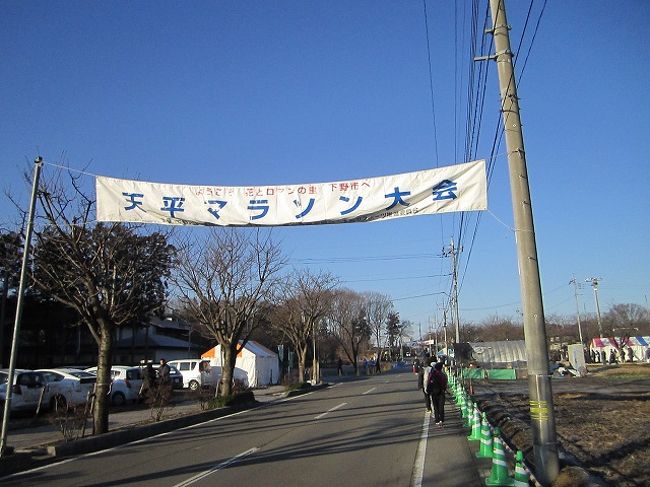 今年初めてのマラソン大会として、三年連続で「下野天平マラソン」に参加。本来ならば１月２日に実家近くで行われるハーフマラソンに参加する予定だったのだが、年末にこじらせた風邪の影響で練習すらままらず当日を迎えることに。今回も回避、っていう選択肢もあったんだが、去年の大会で感じた不満点を大会側運営に指摘したら（公共交通機関を利用した参加者のためのシャトルバス運行）、みごとに改善されてた手前、参加しないと義理が立たないっていうことになってしまったのでした。<br /><br />05:31 藤沢―新橋 722M<br />今回は妻は家でお留守番。一人でお出かけ。目的地の最寄り駅が栃木県の小金井駅なので、「休日お出かけパス」を利用。いつもは通勤に使っている列車でお出かけする。<br /><br />06:18 新橋―上野 612G<br />新橋で乗り換え。新橋で乗り換えをスムーズにすれば走らなくても山手線には余裕を持って乗り継げます。<br /><br />06:49 上野―小金井 3521M（快速ラビット）<br />上野駅８番線に入線した列車が折り返して快速列車になるのでホームでしばらく寒い思いをして待機。グリーン車の平屋席に乗り込み朝ご飯を食べながら移動。大宮から先はガンガン駅を通過していくので身体も楽。<br /><br />定刻通りに小金井駅に到着。駅北口のロータリーで待っていたシャトルバスに乗り込む。観光バスタイプのバスなので４０人くらいで定員になってしまった（後続のバスが来ていたので乗り遅れた人も大丈夫だと思いますが）。わりと遠回りしている感じはしたものの、１０分足らずで会場に到着。楽だわー　テントのところでゼッケンを受け取り、国分寺聖武館という名前が付けられた体育館に荷物を置いて待機。<br /><br />スタートまでには１時間半ほど時間があるので、少し周りを観光して回る。去年、一昨年とほとんど大会に関係ない所には足を運んでなかったので、聖武館のすぐ近くに「しもつけ風土記の丘資料館」とか大きな駐車場があったこととか全くしらんかった。わりとたくさん車を止めるスペースはあるみたいです。<br /><br />小走りで数分、下野国分寺跡に到着。南門、南大門、金堂、七重の塔などの伽藍配置が再現されていた。弓削道鏡とかもここにいたんだなぁとしみじみ。<br /><br />ひとしきり観光（？）を済ませて走る格好に着替え、またしばらく待機。今年は足下の防寒対策もしてきたので、体育館の床に座っていても寒くない。９時３０分くらいに外に出る。去年は氷雨の中を走ったので、多少風が強いくらいはなんてことなく感じる。１０時にスタート。<br /><br />コースは一周約１０ｋｍの周回コースを二周してくるというもの。基本的に平坦だけど市街地に向かう３ｋｍあたりから緩やかに上り、６ｋｍくらいから下るといったかんじ。今年は天気は良かった代わりに北風が強くて苦しめられた。正面から風を受けているときは苦しくて息ができないくらい（というか、鼻の奥が凍って塊が気道に詰まる感じ）。<br /><br />最初の１０ｋｍはそれでもなんとか４０分弱でまわってきたものの、二周目が１０ｋｍコースのスタートと重なってしまったせいでペースが乱れがちになる、あと、年末年始にかけての練習不足がたたり、１７ｋｍ過ぎからは完全にペースが落ちる。結局１時間２９分でゴール。今年からハーフマラソンの参加種目が３９歳までの部と４０歳以上の部に分かれたみたいだけど、去年より順位が下がっていたので（去年は全体で２０番台）、成績自体はあんまり良くなかったというべきなんだろうな。<br /><br />まあ、病み上がりのわりには良くやったということで自己満足しとこう。<br /><br />着替えをすませて帰る準備してから、会場で振る舞われていた、かんぴょう汁の行列にいったん並ぶものの、いつになったら食べられるかわからないくらい行列がスローだったので、あきらめてバスの発着所に向かう。１２時４５分からしかバスの設定がないんだけど、見物に来ただけの人とか早めにゴールした人（５ｋｍの部の人は相当前にゴールしてるはず）にとっては利用しづらい時間設定かもしれない。<br /><br />バスが定員になったので７分ほど早めに出発。途中で下野市が運営している温泉施設「ゆうゆう館」に立ち寄る。マラソンの参加者には施設使用料が１００円引きで２００円になるのが嬉しい。まだランナーの数もそんなに多くなく、湯船も比較的広く利用できた。寒風に吹かれてきたので、首まで浸かってもなかなか暖まらなかったけど、熱いお風呂に入ることができてとても気持ちよかった。ありがとう、下野市の方々！<br /><br />素早く着替えをすませ（このころには脱衣所がいっぱいになって、空いているロッカーが不足し出す）、施設併設の食堂で昼食にする。シンプルに卵丼にしてみたのだが、厨房スタッフのひとが大勢の注文に対応しきれておらず（食堂に座ってるひとに加え、お座敷に上がってくつろいでる人の注文にも対応しないといけない）、えらく長時間またされる。<br /><br />帰りの電車の時間も気になるので、結局出てきた卵丼をゆっくり味わう間もなくガツガツ頬張って急いで施設を後にする。ゆうゆう館の入り口付近で待ってたら２、３分でシャトルバスが回ってきた。荷物が吹き飛ぶくらい風が強くなってきていたので早く来てくれてよかった。３、４分で小金井駅に到着。「休日お出かけパス」は自動改札通すとどこに行ってきたか第三者には判別できないので、駅員さんにお願いして途中下車印を捺してもらう。<br /><br />13:57 小金井―戸塚 4150Y<br />たぶん、大宮あたりまではグリーン車ガラガラだろー、と高をくくっていたら予想外の混雑具合で少し焦る。一人で来てたので空いてる席に何とか滑り込めた（二階建ての下の席は荷物棚がなくて足下が狭いのでやや不満）。帰りも大宮までは快速運転なので結構楽ちんなんだが、寒いところ走ってきたせいか、くしゃみが頻繁に出て仕方ない。マスクしてきたのがまだ救いか（マスクしてなかったら周りの人の迷惑そうな視線に耐えられんかっただろうな）。<br /><br />横浜過ぎてようやく席が空きだし、足下がちょっと楽になる。お風呂入ったから疲れがあんまり足に溜まってなくてよかった。戸塚で下車。成人式の帰りと思しき姿の人たちを多く目にする。<br /><br />16:08 戸塚―藤沢 3765M<br />東海道線を待ってる間、さっき降りた列車が動き出さないので内心不思議に思っていると、ようやく駅アナウンス。横須賀線の線路内に人立ち入りの影響で運転見合わせとのこと。定刻通り到着した東海道線の列車も巻き添えをくって仲良く戸塚駅ホームでしばらく停車。グリーン車にちょこんと座って待つしかない。ようやく動き出したが、結局大船到着までほぼ徐行していたので藤沢到着は１０分遅れとなる。まあ、なんとか到着してくれてよかった、というべきか。<br /><br />ということで、今回はタイム自体は大したことなかったものの、病み上がりの身体に活を入れる意味では参加して良かったと思う。<br /><br />下野天平マラソンは地元の人の手作り感がいい味出してるとおもうので（ハーフマラソンのスターターは下野市長なんだけど、ハンドマイクでご挨拶ってチープさがちょっと微笑ましかったりする）、安全確保などの点ではきっちりしといて欲しいものの、今後もゆるーい感じを残した大会であってほしいと思ったりします。