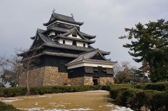 3連休の初日、テレビの旅番組で境港の松葉ガニが。「食べに行きたいわねえ」<br />私のこの一言から、なんと次の日に境港へ一泊旅行へ！<br /><br /><br />飛行機はスカイマーク08:45（成田空港） - 10:20（米子鬼太郎空港）一人往復29800円<br /><br />境港の観光センターに問い合わせて、松葉ガニを食べさせてくれる民宿があるかと聞いたら、安いホテルに泊まって、蟹はかに専門の店で食べたほうがいいと案内してくれました。<br /><br />松葉ガニのコースがある「魚山亭」、ホテルは紹介してもらった「境港マリーナホテル」に予約をして、準備完了。<br /><br />境港の水木しげるロード、松江城、出雲大社にもいってみよう。1日で観光コースなどを考えるのは忙しかった。<br /><br />