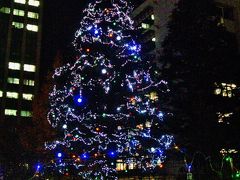 Christmas Illumination　（千葉工業大学構内）点灯　☆津田沼からの帰り道