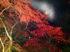 伊香保温泉で紅葉のライトアップ