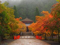 05 空海の魂にふれる高野山　バックパックで紀伊半島半周中一人旅はここで終わり